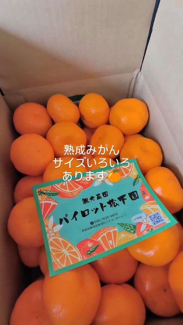 送料一覧 | みかん狩り・柿狩り「パイロット松下園」